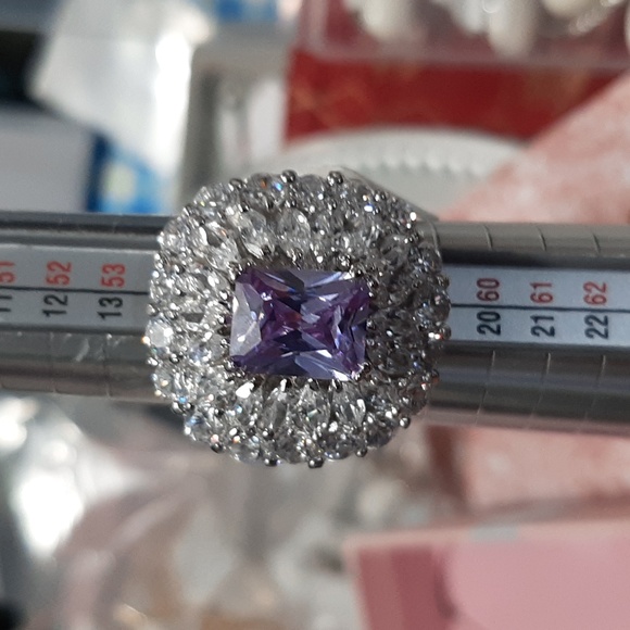 Camille Louise rings Silverstone - Picture 3 of 3